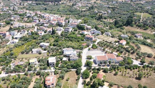 screen_839abbfa2c5e8e03_1591704768843